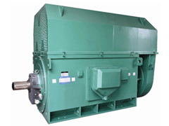 JR138-8AY系列6KV高压电机