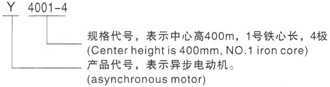 西安泰富西玛Y系列(H355-1000)高压JR138-8A三相异步电机型号说明