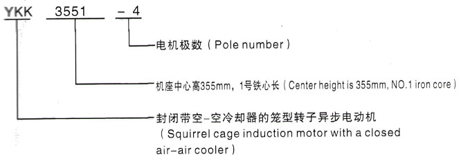 YKK系列(H355-1000)高压JR138-8A三相异步电机西安泰富西玛电机型号说明